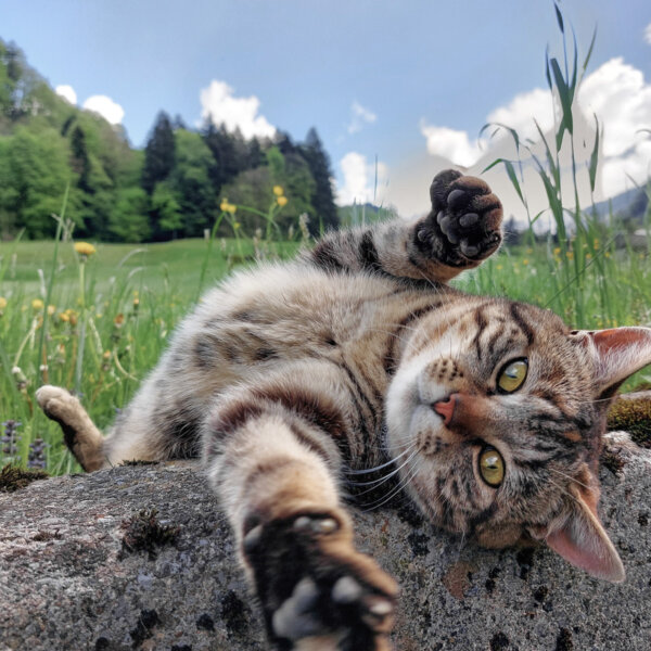 Natuerlich Nidwalden Freunde Spende