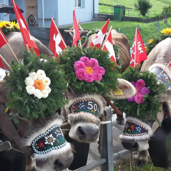 Natuerlich Nidwalden Alpkaeserei Bleiki Impressionen 06