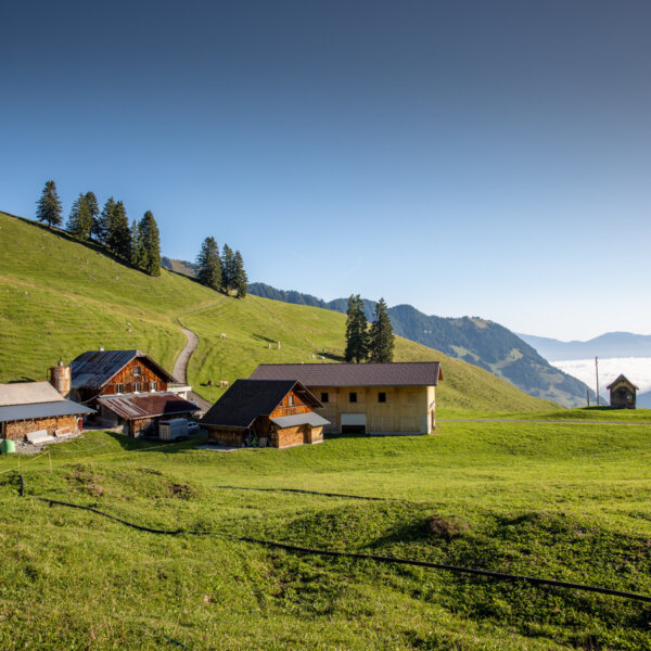 Natuerlich Nidwalden Alpkaeserei Lochhuette Impressionen 05