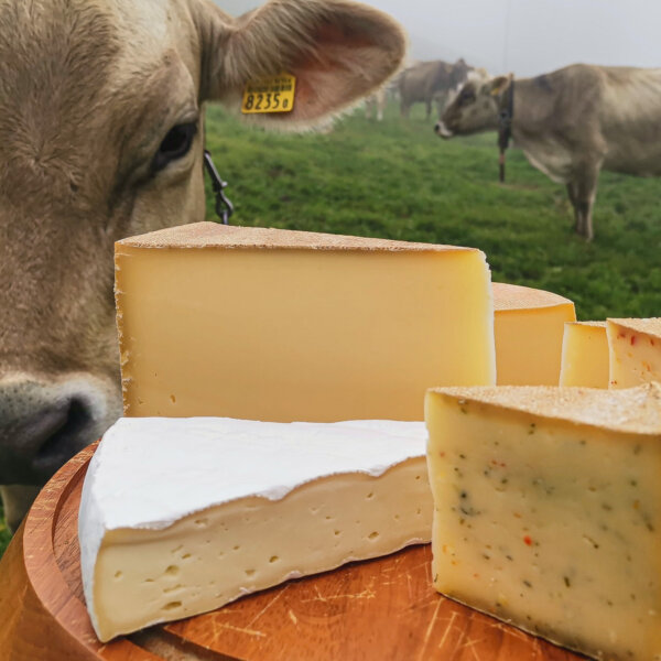 Natuerlich Nidwalden Alpkaeserei Lochhuette Impressionen 09