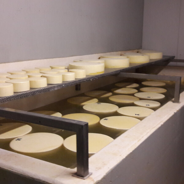 Natuerlich Nidwalden Alpkaeserei Musenalp Impressionen 06