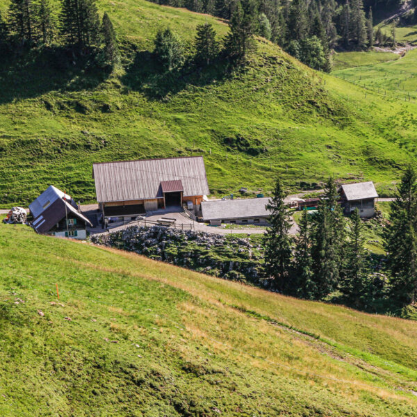 Natuerlich Nidwalden Alpkaeserei Unterst Huette Besuch