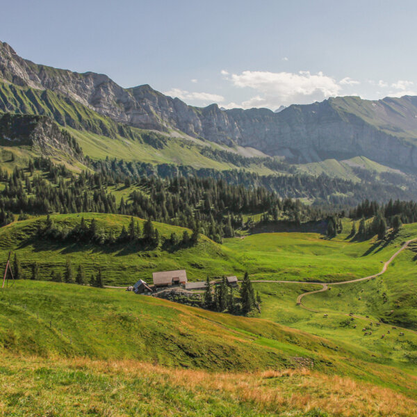 Natuerlich Nidwalden Alpkaeserei Unterst Huette Impressionen 01