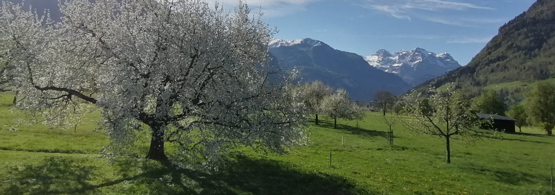 Natuerlich Nidwalden Bauernhof Waser Hero