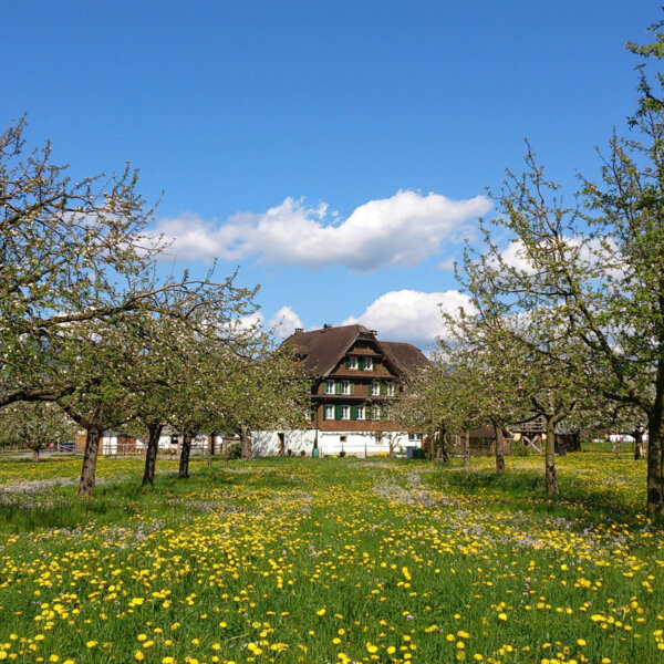 Natuerlich Nidwalden Bauernhof Waser Impressionen 01
