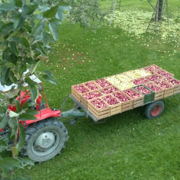 Natuerlich Nidwalden Bauernhof Waser Impressionen 02