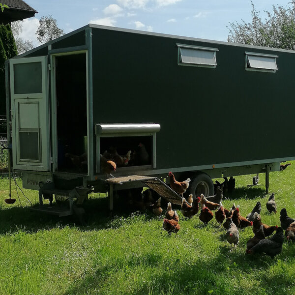 Natuerlich Nidwalden Bauernhof Waser Impressionen 04