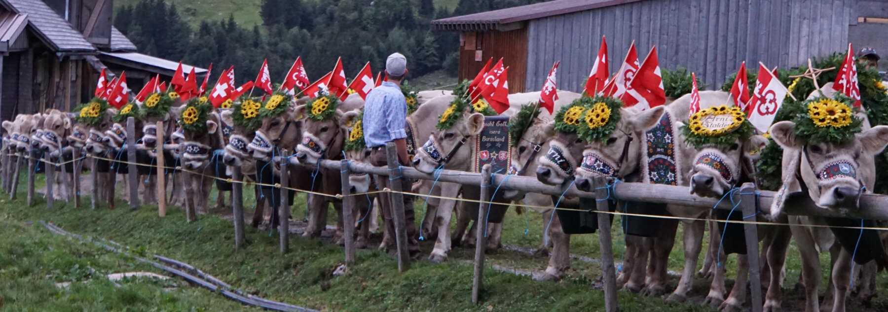 Natuerlich Nidwalden Betrieb Rochushostatt Hero