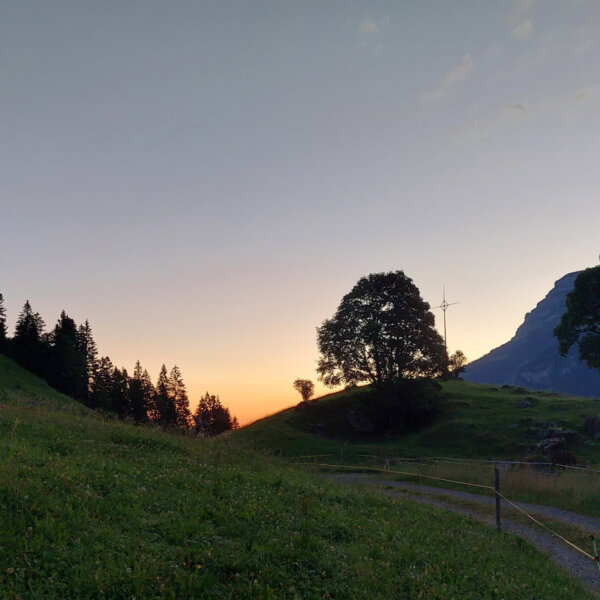 Natuerlich Nidwalden Betrieb Rochushostatt Impressionen 01