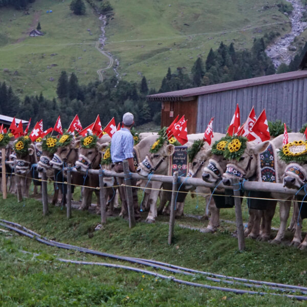 Natuerlich Nidwalden Betrieb Rochushostatt Impressionen 09