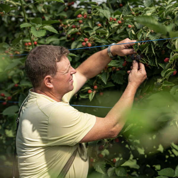 Natuerlich Nidwalden Bielihof Impressionen 05
