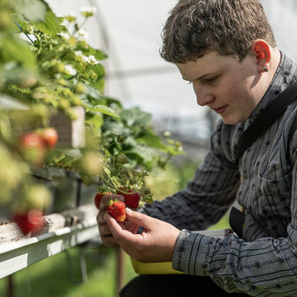 Natuerlich Nidwalden Bielihof Impressionen 10