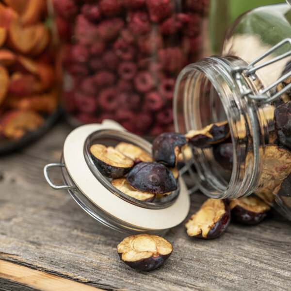 Natuerlich Nidwalden Bielihof Impressionen 16