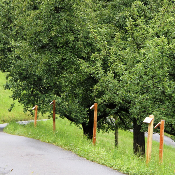 Natuerlich Nidwalden Biohof Hobiel Obstlehrpfad
