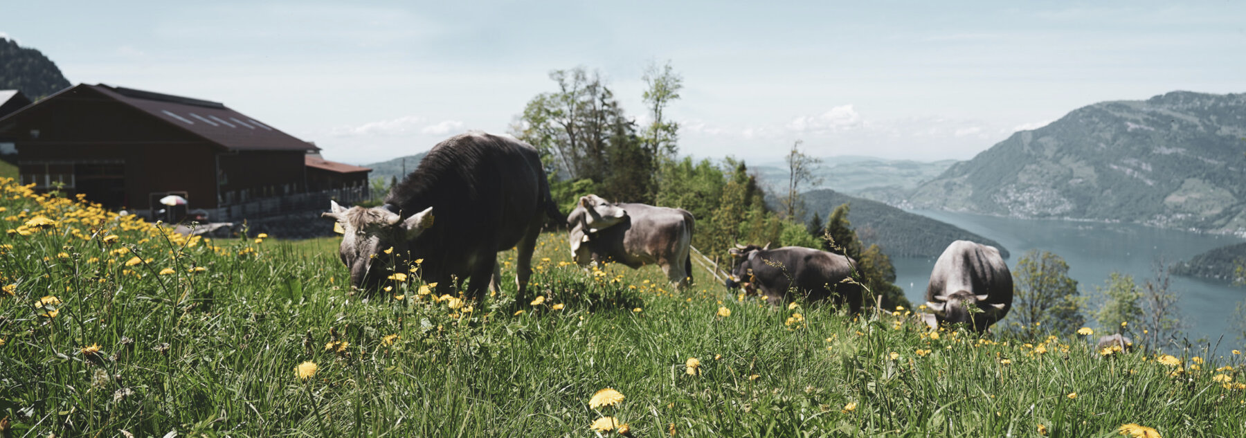 Natuerlich Nidwalden Biohof Ruotzen Hero