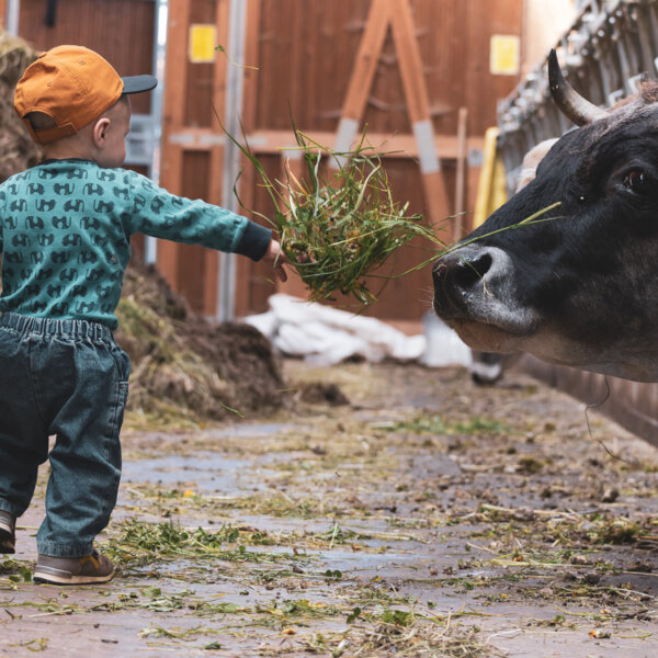 Natuerlich Nidwalden Biohof Ruotzen Impressionen 03
