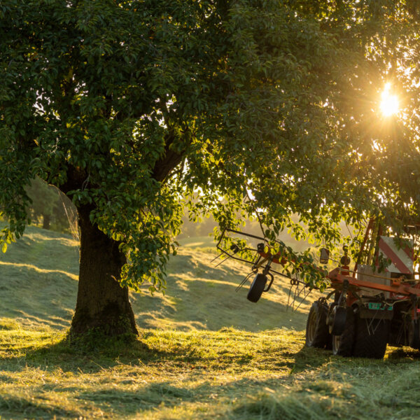 Natuerlich Nidwalden Burach Laedeli Impressionen 06