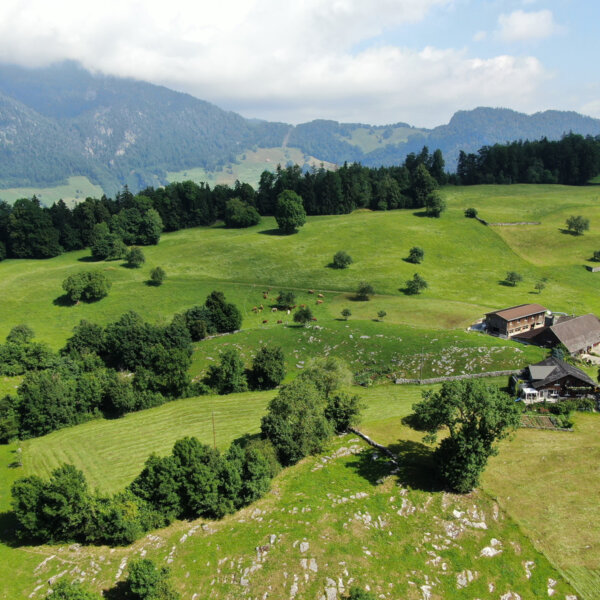 Natuerlich Nidwalden Erlebnishof Vorsaess Impressionen 02