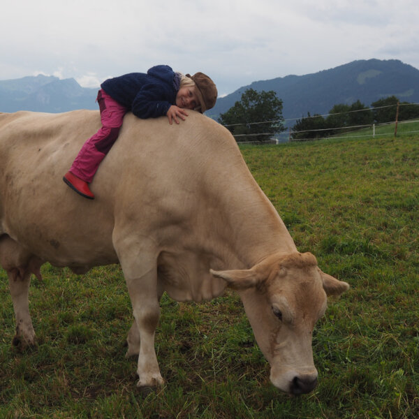 Natuerlich Nidwalden Erlebnishof Vorsaess Impressionen 08