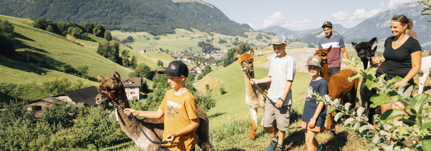 Natuerlich Nidwalden Fluehlers Farm Hero