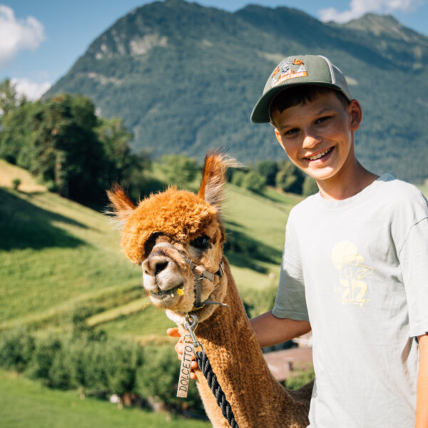 Natuerlich Nidwalden Fluehlers Farm Alpaka Spaziergang