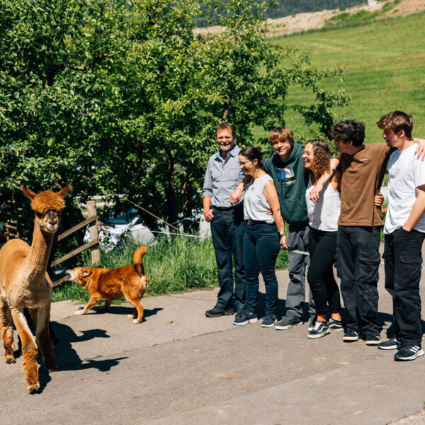 Natuerlich Nidwalden Fluehlers Farm Impressionen 02