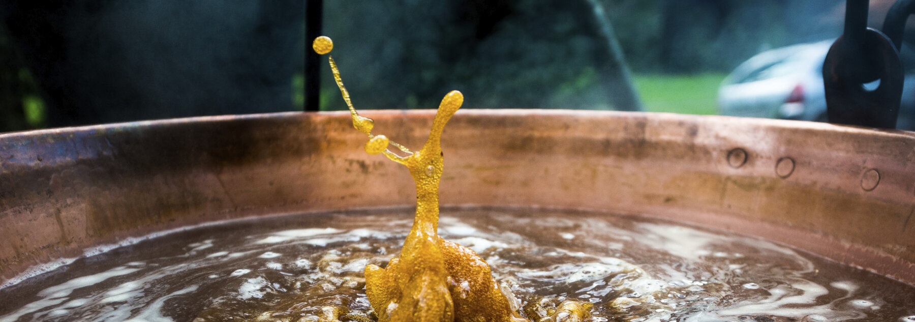 Natuerlich Nidwalden Genossenschaft Keimling Hero