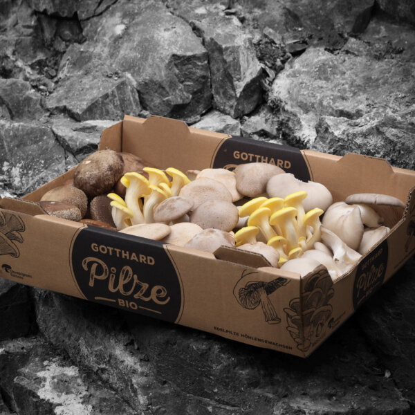 Natuerlich Nidwalden Gotthard Bio Pilze Impressionen 05