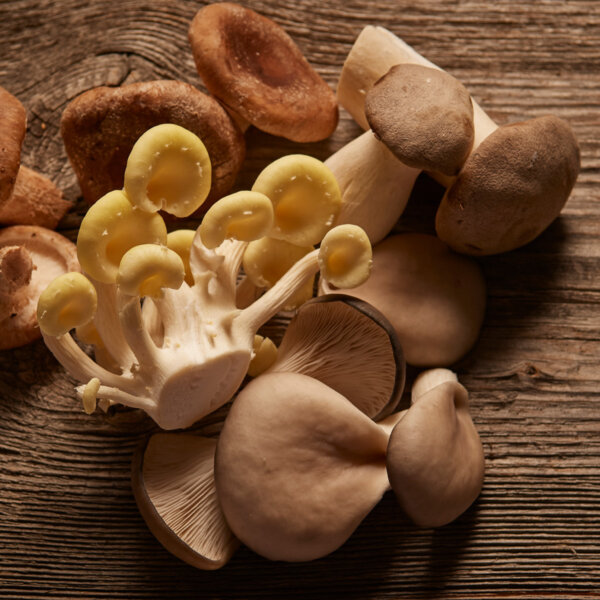 Natuerlich Nidwalden Gotthard Bio Pilze Impressionen 06