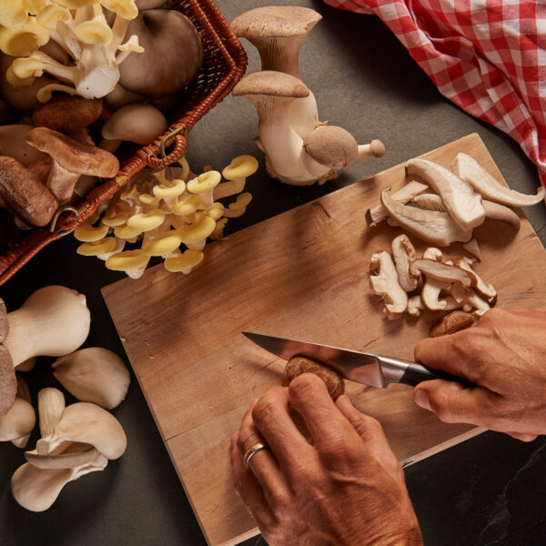 Natuerlich Nidwalden Gotthard Bio Pilze Impressionen 07
