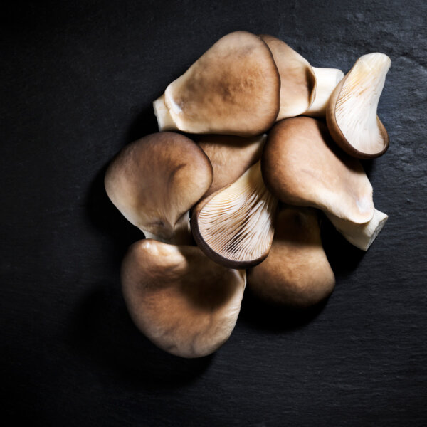 Natuerlich Nidwalden Gotthard Bio Pilze Pleurotus