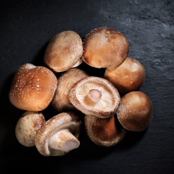 Natuerlich Nidwalden Gotthard Bio Pilze Shiitake