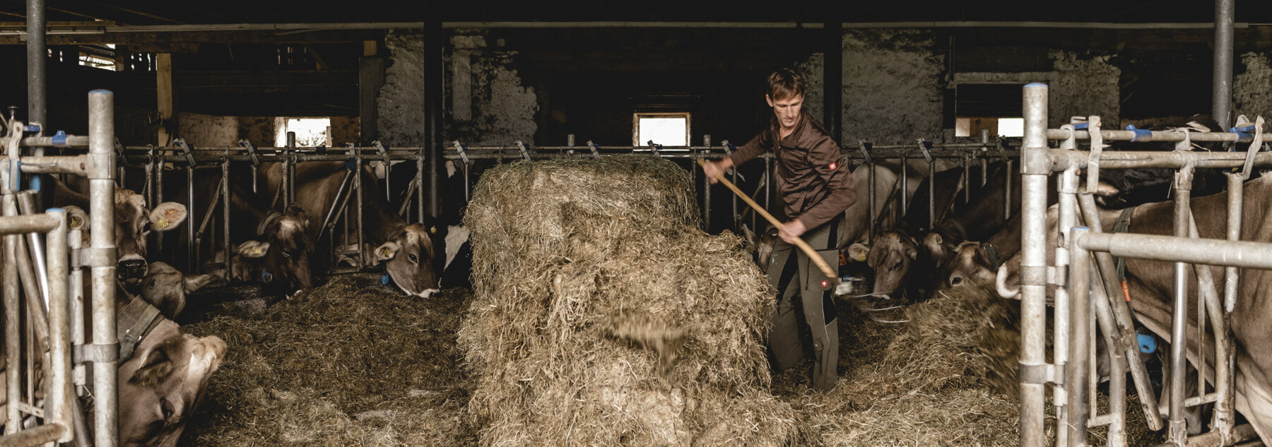 Natuerlich Nidwalden Hiaesigs Hero