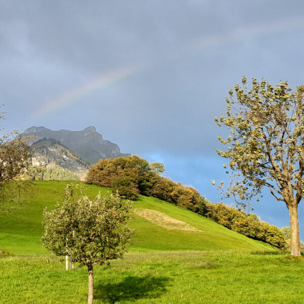 Natuerlich Nidwalden Hof Loh Impressionen 01