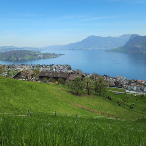 Natuerlich Nidwalden Hof Loh Impressionen 05
