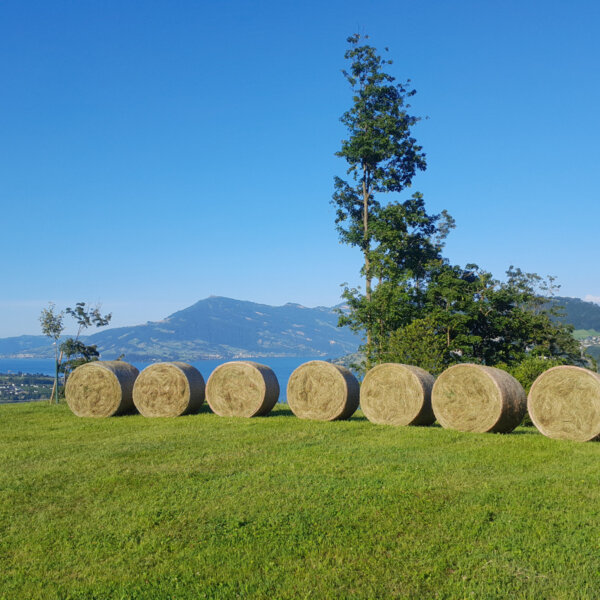Natuerlich Nidwalden Hof Loh Impressionen 07