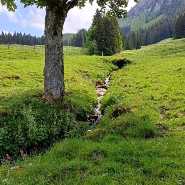Natuerlich Nidwalden Hof Muehlematt Impression 02
