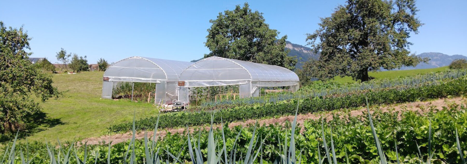 Natuerlich Nidwalden Hof Murmatt Hero