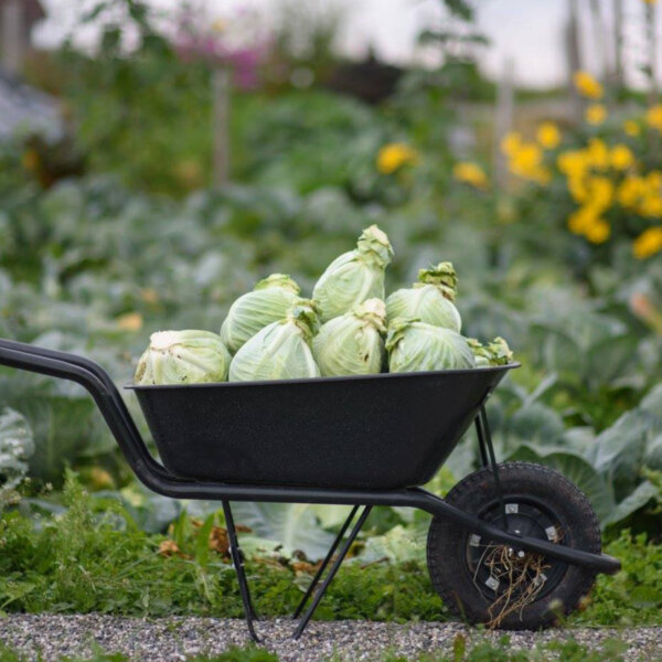 Natuerlich Nidwalden Hof Murmatt Gemuese Abo