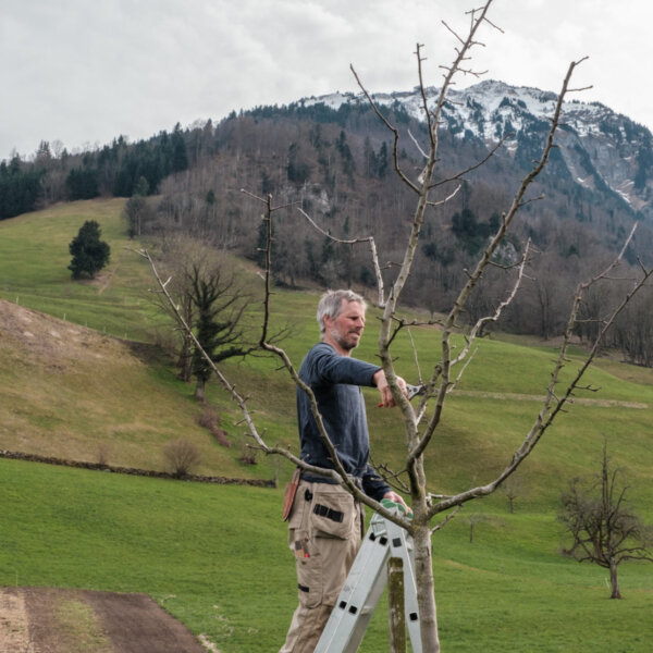 Natuerlich Nidwalden Hof Murmatt Impressionen 02