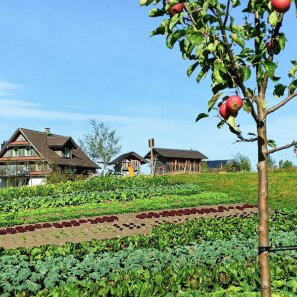 Natuerlich Nidwalden Hof Murmatt Impressionen 04