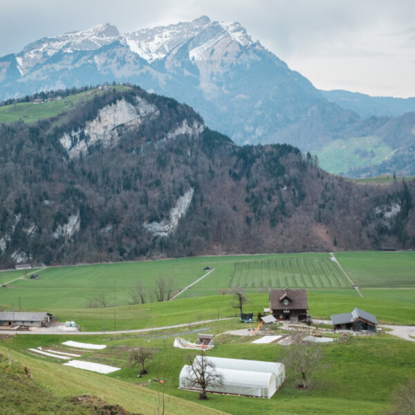 Natuerlich Nidwalden Hof Murmatt Impressionen 08