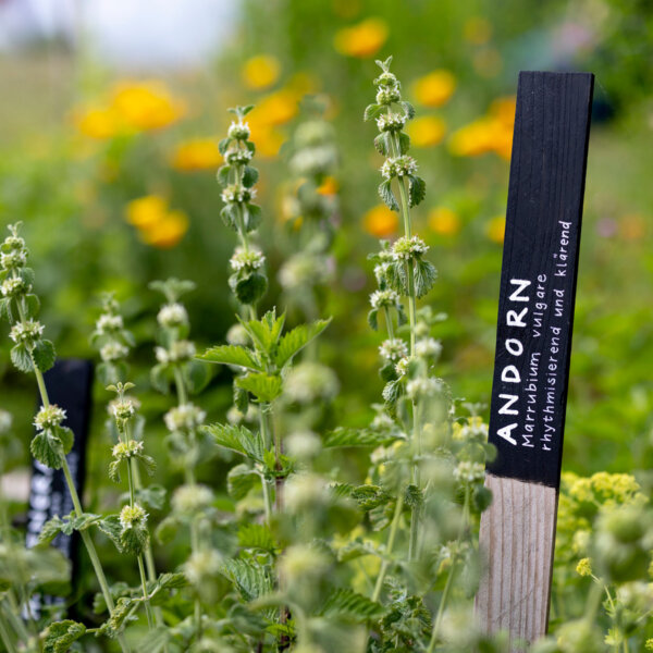 Natuerlich Nidwalden Hof Neufallenbach Impressionen 02