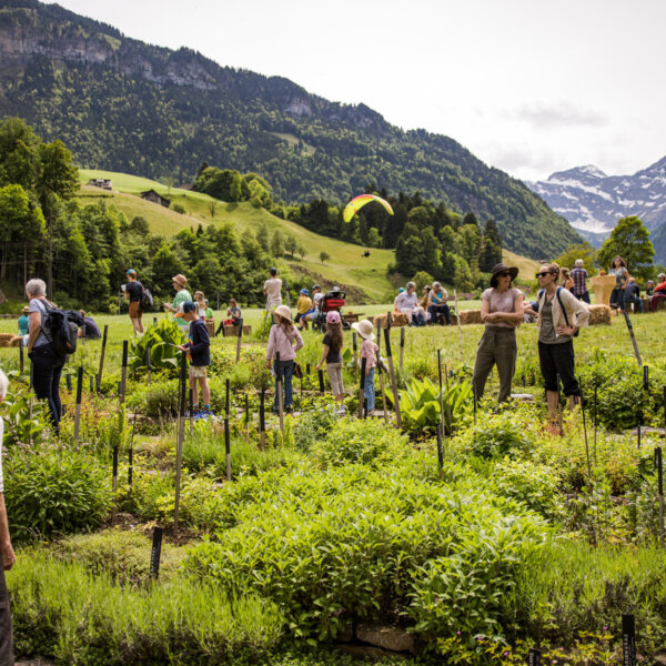 Natuerlich Nidwalden Hof Neufallenbach Impressionen 03