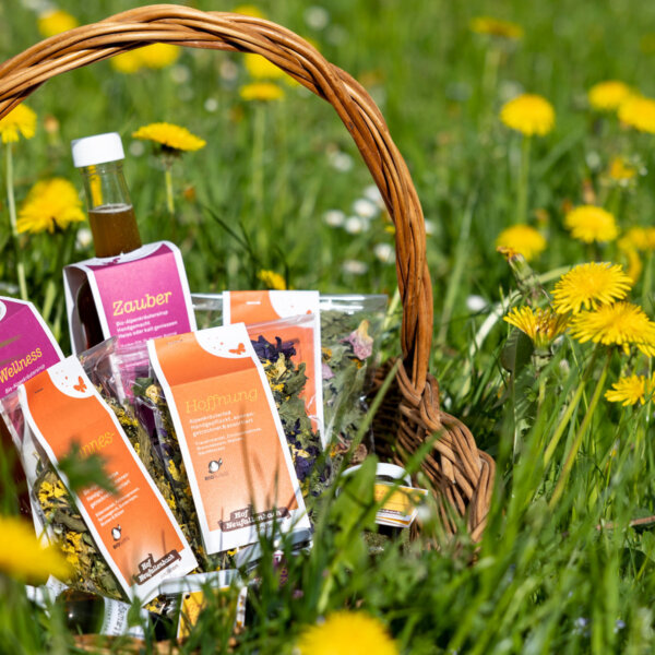 Natuerlich Nidwalden Hof Neufallenbach Impressionen 04