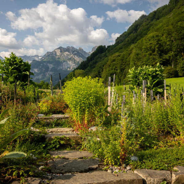 Natuerlich Nidwalden Hof Neufallenbach Zaubergarten