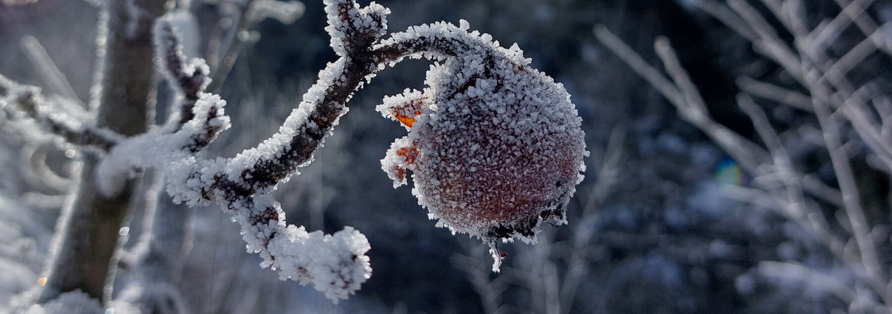 Natuerlich Nidwalden Hof Reinerz Hero