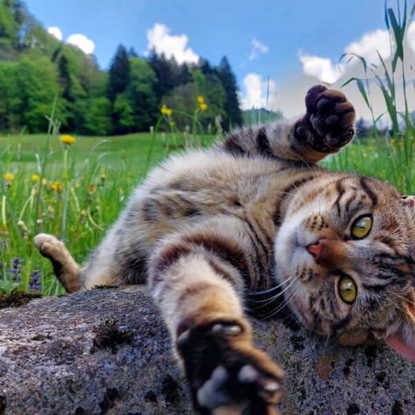 Natuerlich Nidwalden Hof Reinerz Impressionen 03