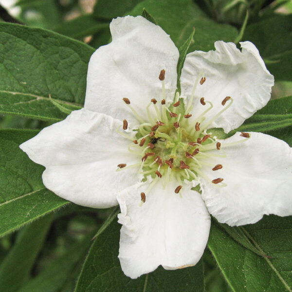Natuerlich Nidwalden Hof Reinerz Impressionen 04
