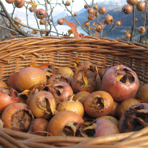 Natuerlich Nidwalden Hof Reinerz Impressionen 05
